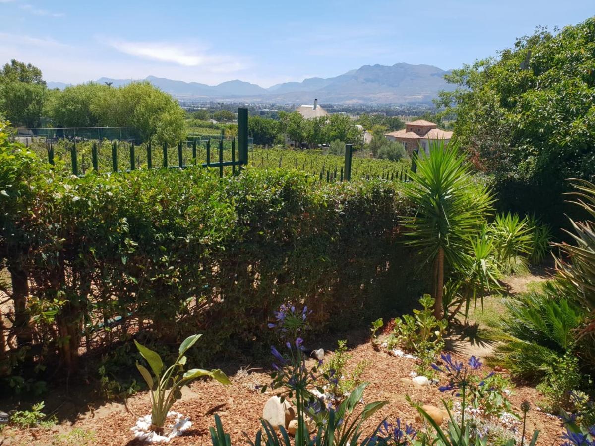 De Wingerd Wijnland Lodge Paarl Extérieur photo