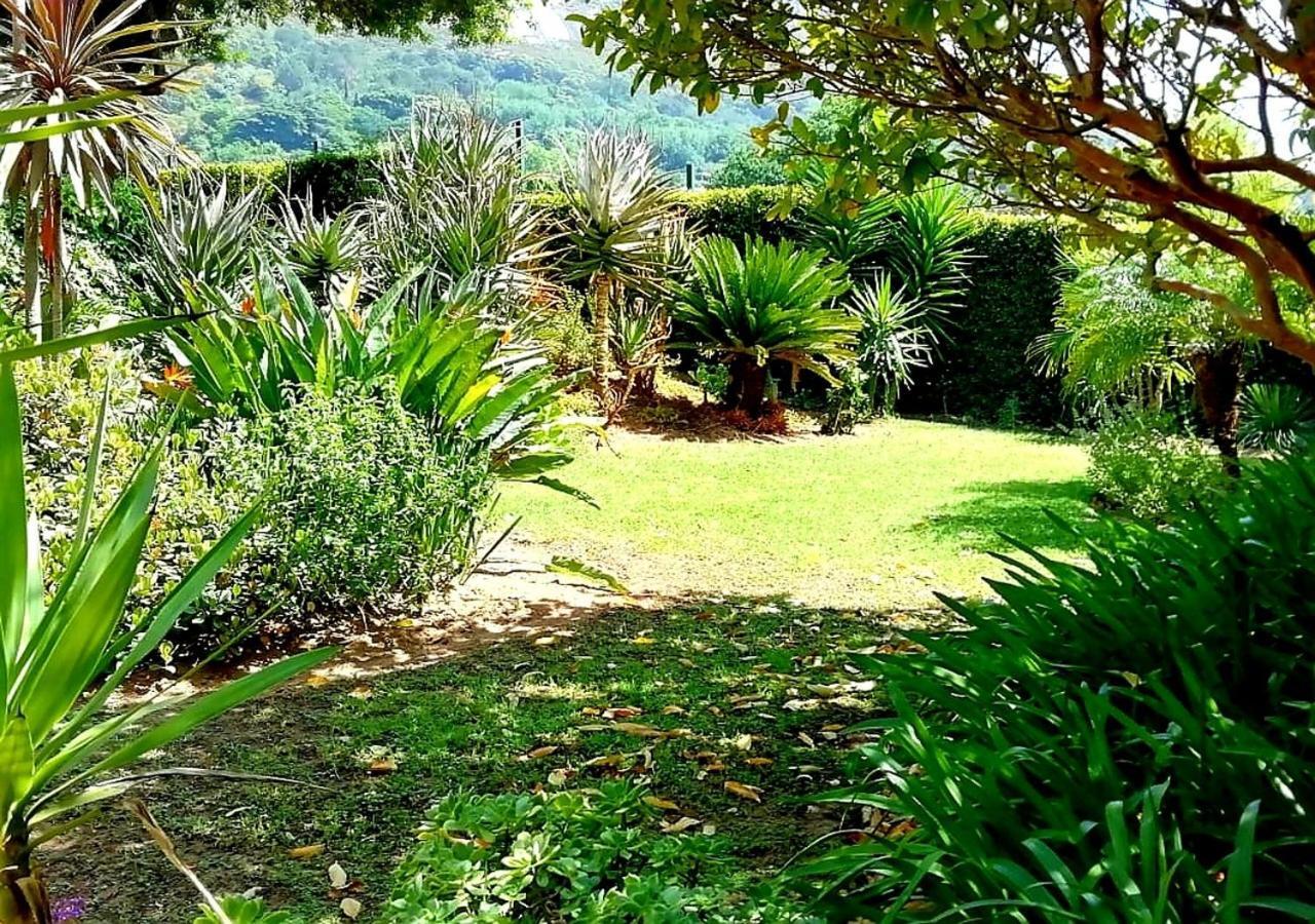 De Wingerd Wijnland Lodge Paarl Extérieur photo